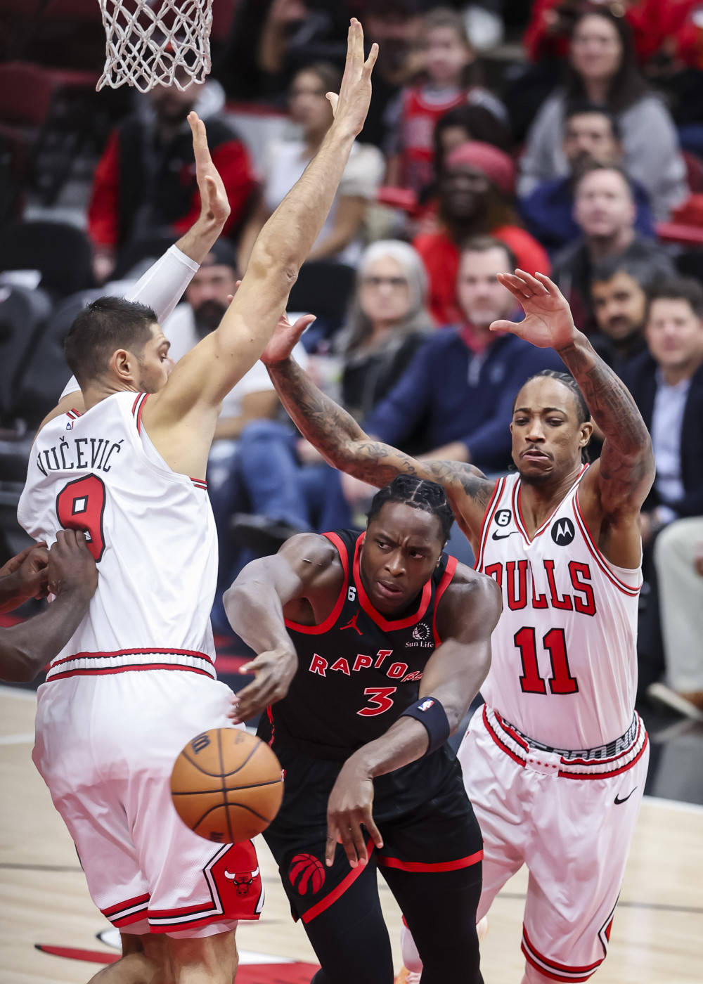 猛龙队防守高效,成功挫败对手 猛龙队防守高效,成功挫败对手