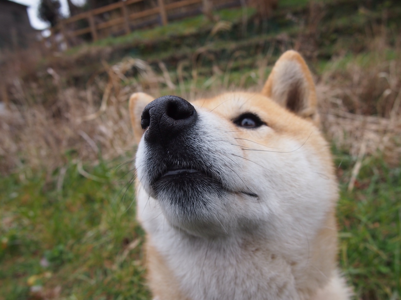 热火疾风骤雨速胜浙江队，班凯罗关键时刻定乾坤