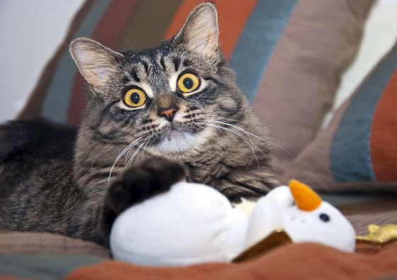 维尼修斯末节神勇接管比赛,西班牙风暴彻底冲垮切尔西防线