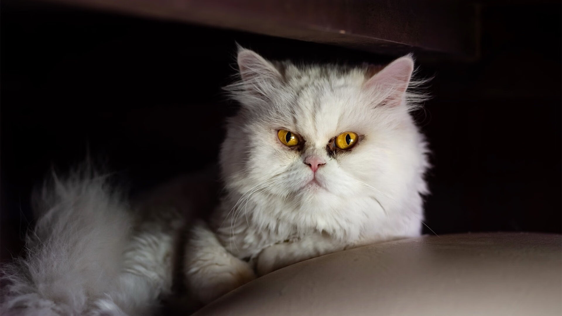 弗拉霍维奇闪电破门,AC米兰客场大胜芬兰赫尔辛基,悬念早失